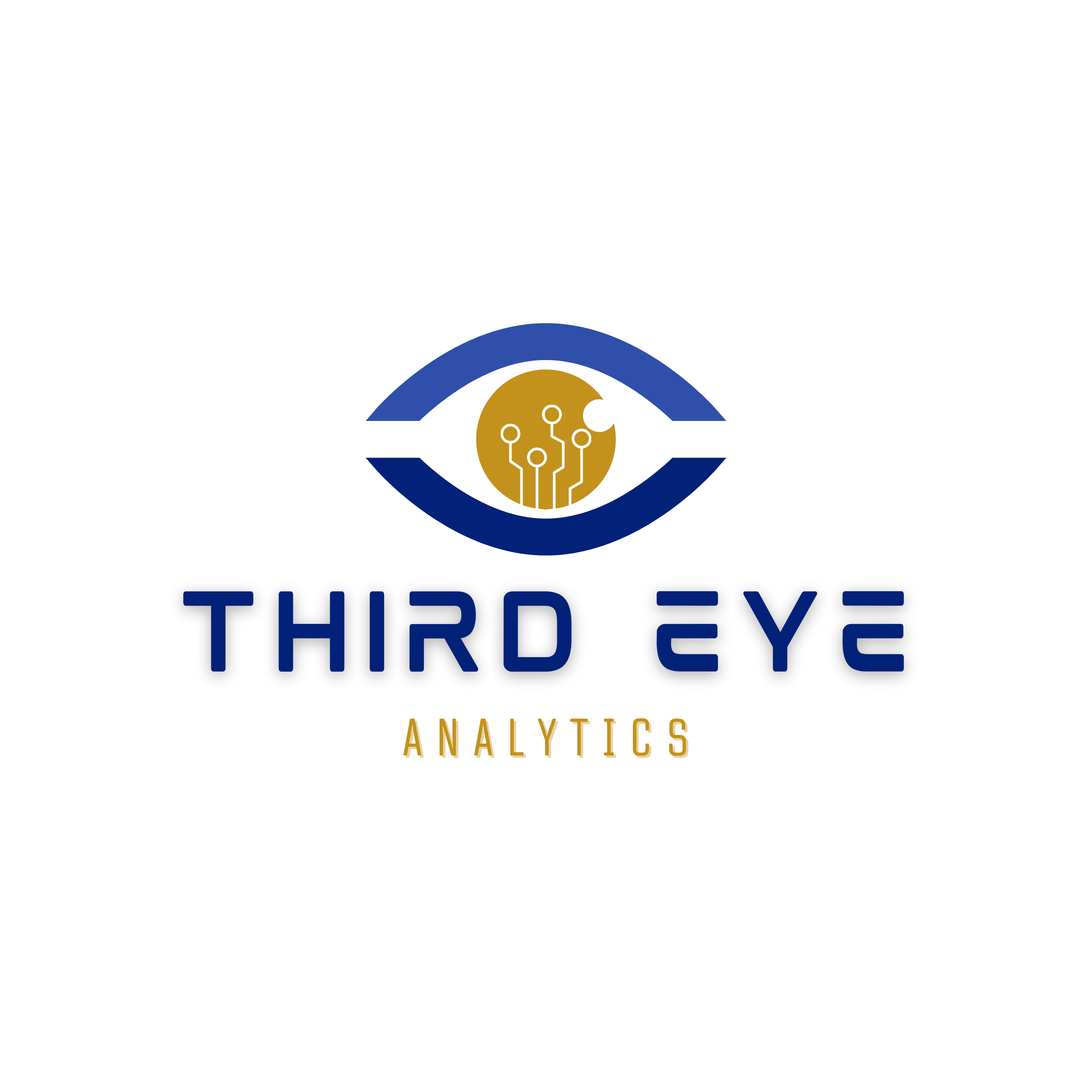 Third Eye Analytics | Diagnostic Intelligence for K-8 Education